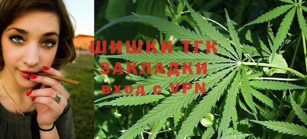 PSILOCYBIN Елабуга
