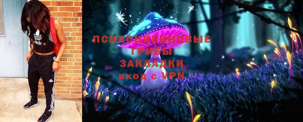 PSILOCYBIN Елабуга
