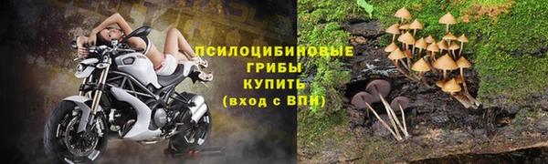 PSILOCYBIN Елабуга