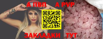 2c-b Кингисепп
