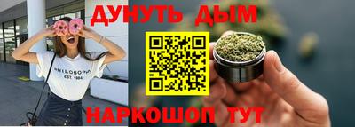 2c-b Кингисепп