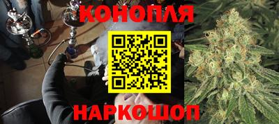 мяу мяу мука Кинель