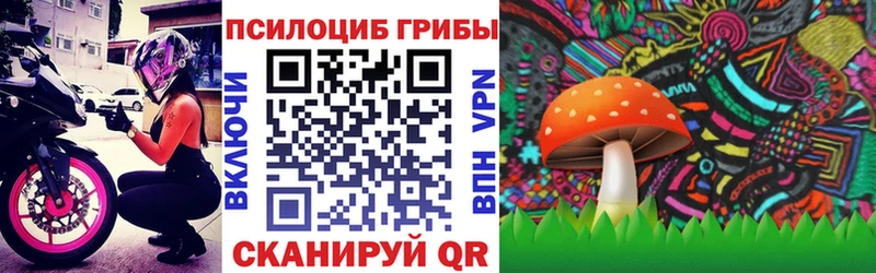 Псилоцибиновые грибы GOLDEN TEACHER Луховицы