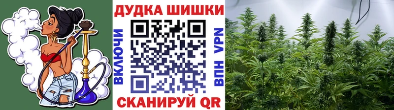 Бошки марихуана сатива  Луховицы 